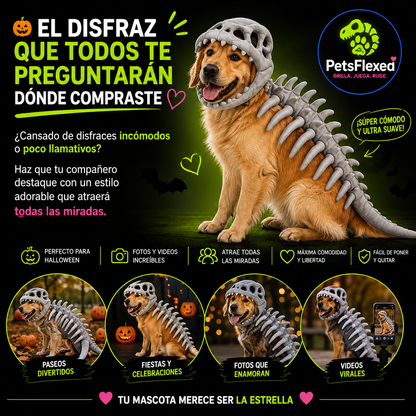 Disfraz Esqueleto Dinosaurio