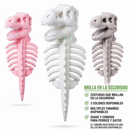 Disfraz Esqueleto Dinosaurio